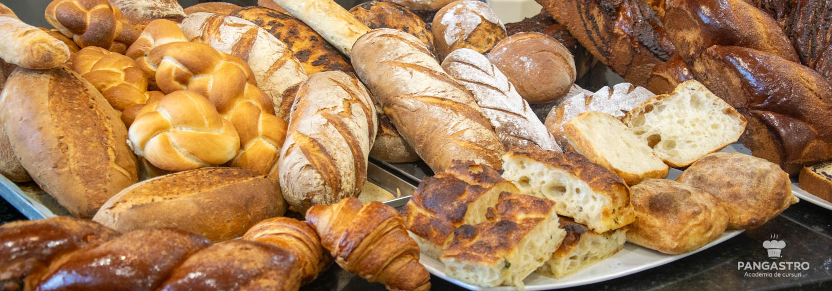 Sibiu / Brutăria artizanală: de la frământare la coacere